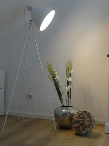 Ferienwohnung Rhein-Main Floersheim am Main Dış mekan fotoğraf